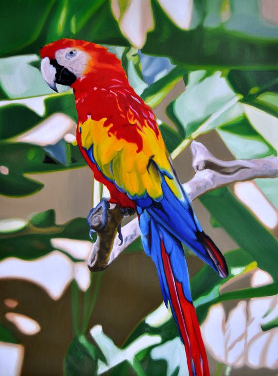 Parrot