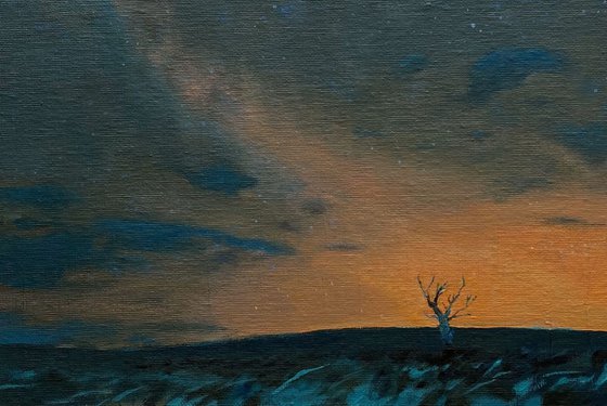 Night landscape