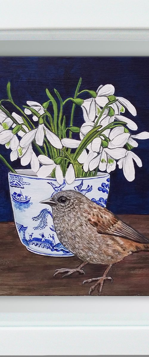 A Dunnock named Snowdrop by Carolynne Coulson