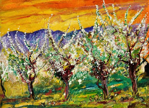 Cherrytrees in spring 8623 by Pol Henry Ledent