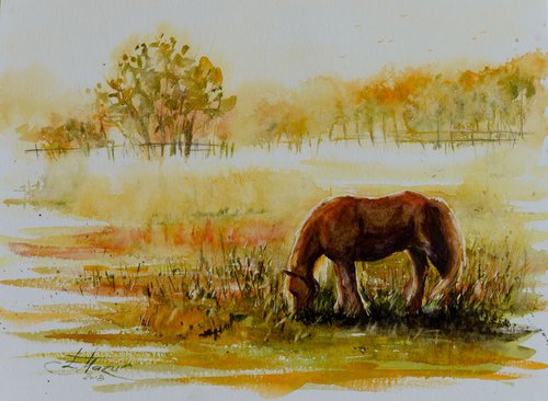 Horse in the pasture by Eve Mazur