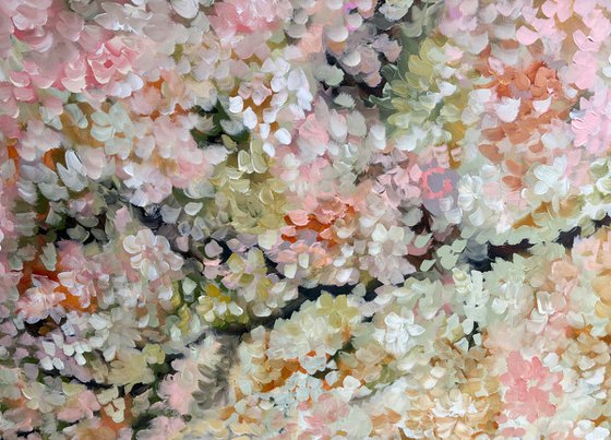 Blossoms
