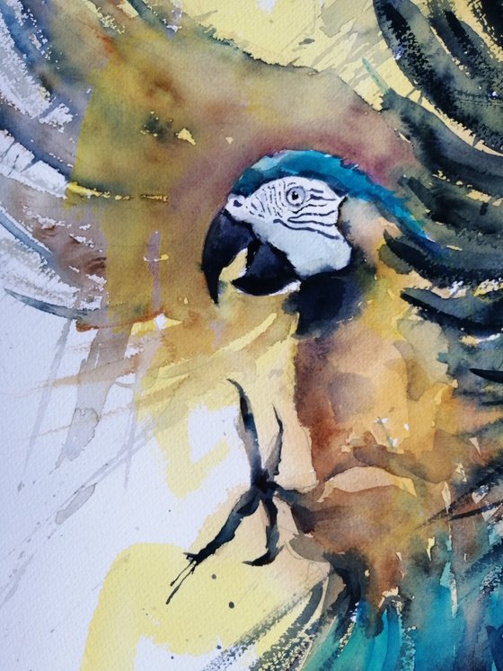 parrot 16
