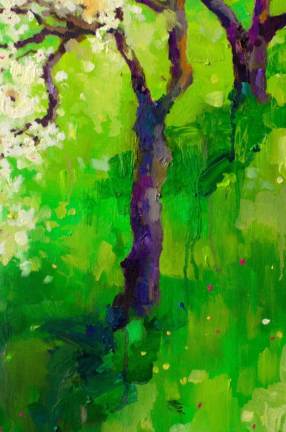 Whispers of Blossom Light