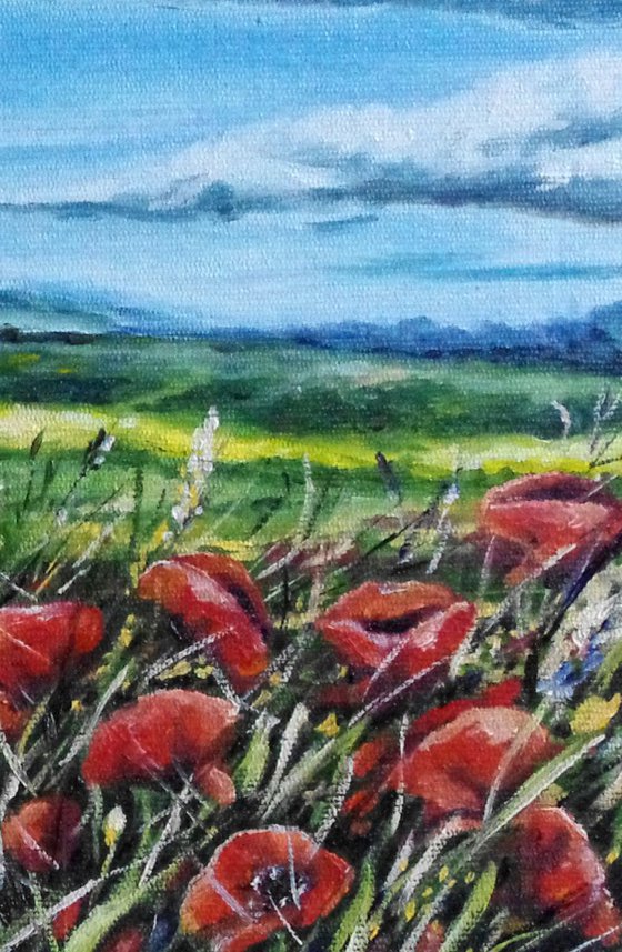 " Summer Poppies "