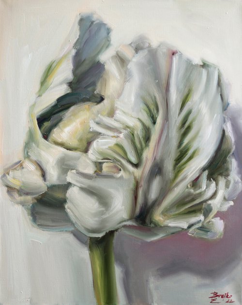 white tulip by Catherine Braiko