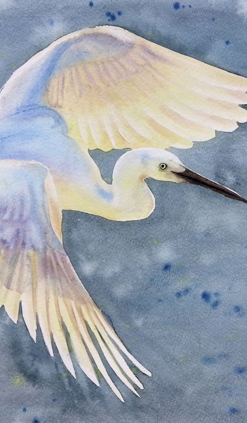 Flying Egret - Snowy Egret – L by Olga Beliaeva Watercolour