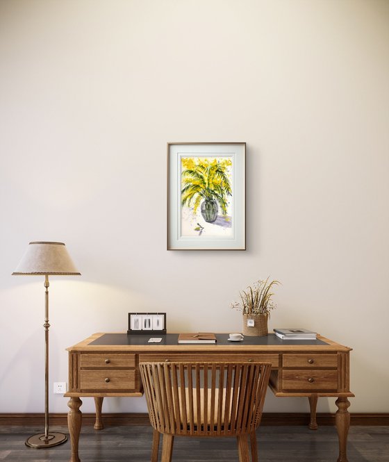 Mimosa branch Acacia Dealbata