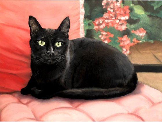 The Guardian of the Pink Velvet