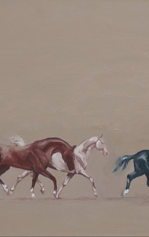 Arabians (study) by Zil Hoque