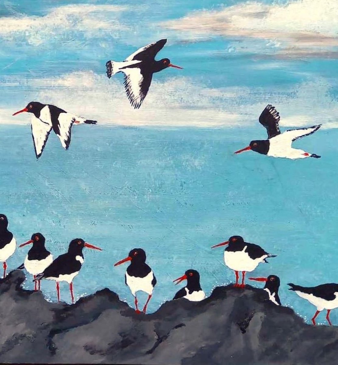 Oystercatcher Hang Out by Monica Green