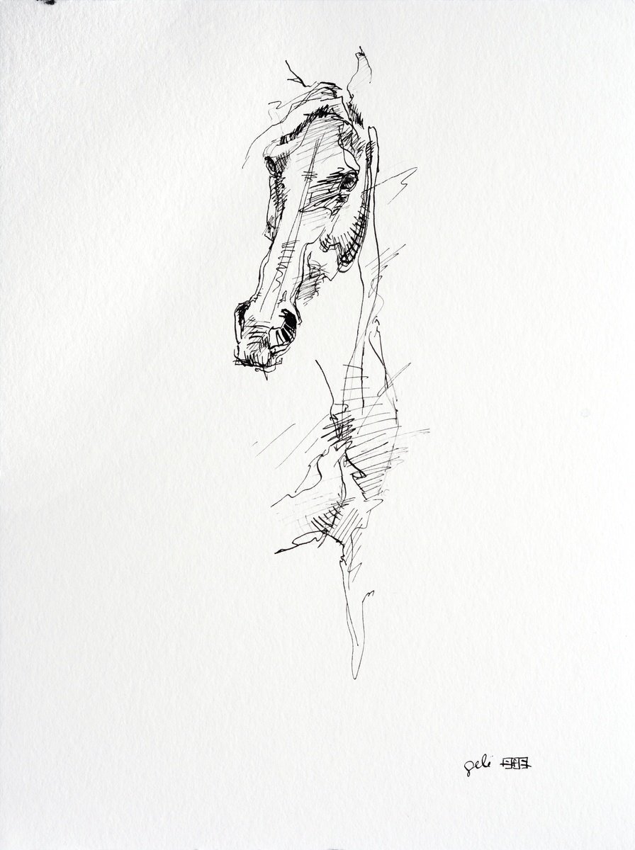 Expressive Animal Ink Drawing By Benedicte Gele, 9 X 13, Expression 4A, Original Artwork