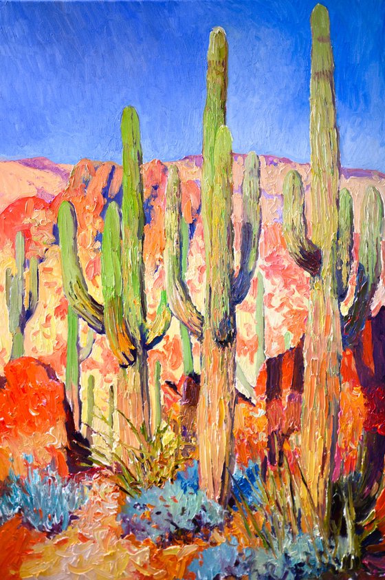 Saguaro Cactuses in the Desert