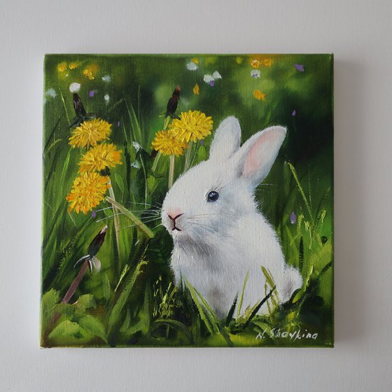 Bunny and Dandelions