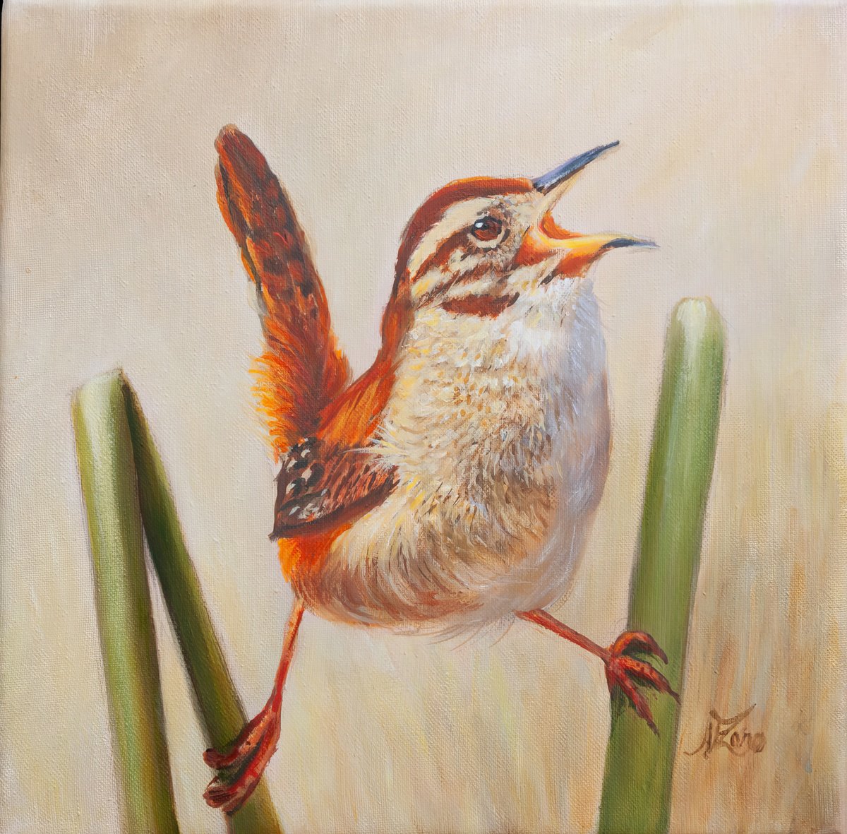 Photorealistic Animal Acrylic Painting By Norma Beatriz Zaro, 8 X 8", Junquero, Original Artwork