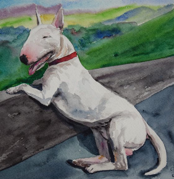 Bull Terrier watercolor painting, dog portrait, animalistic wall art