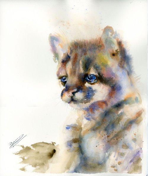 Baby cougar by Olga Shefranov (Tchefranov)
