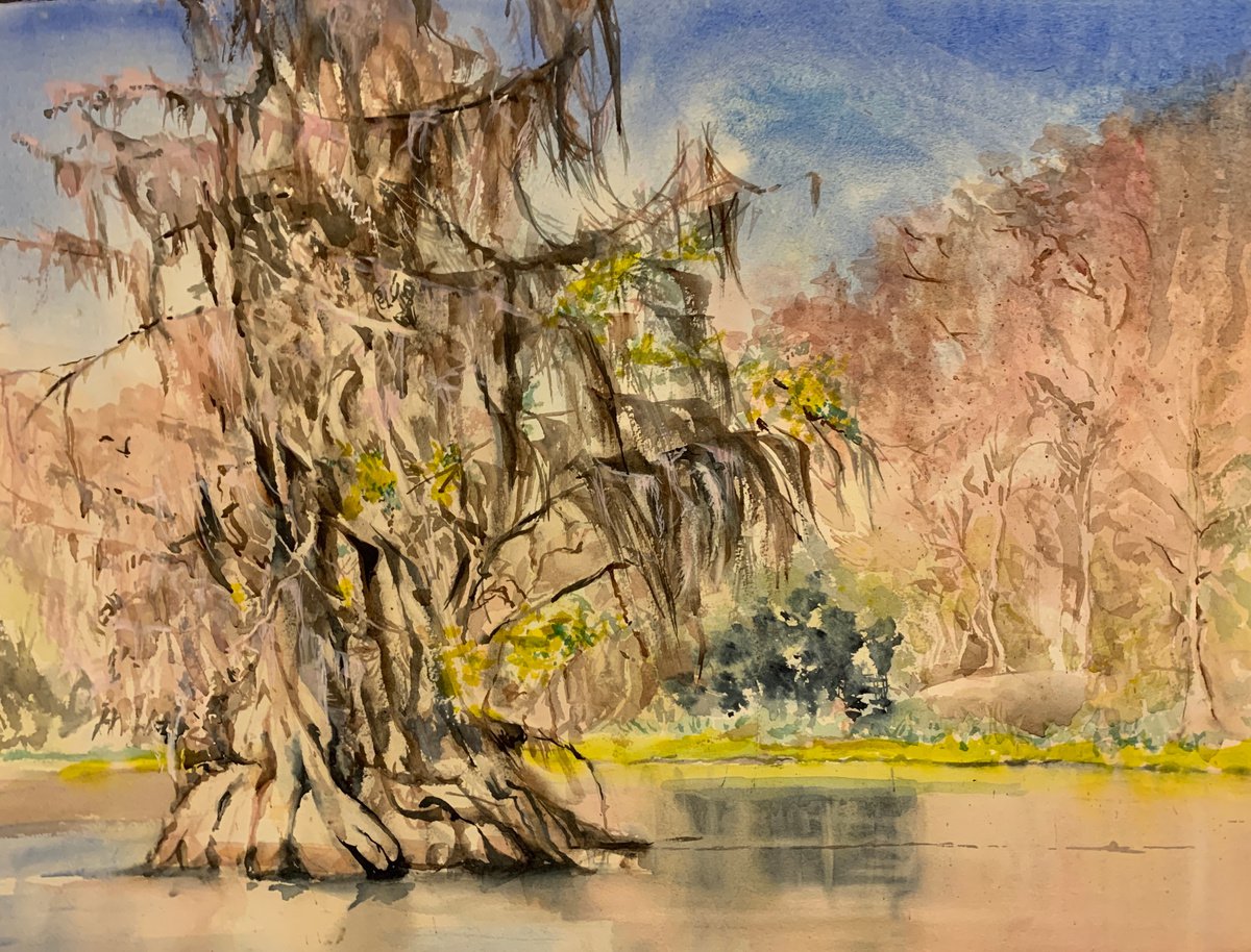 Impressionistic Watercolour , Bald Cypress By Yoshiko Murdick, 24 X 18, Artwork For Sale On Artfinder