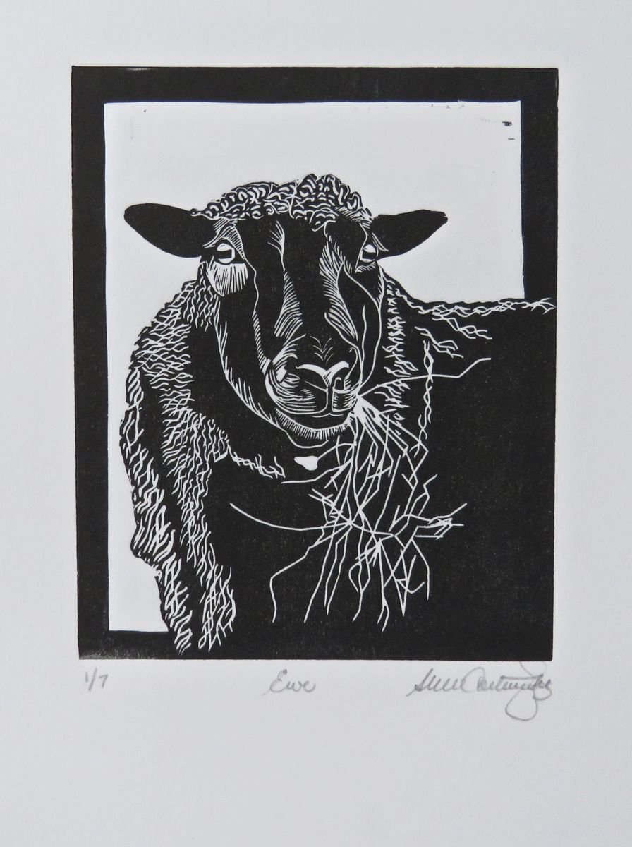 Ewe by Susan Cartwright