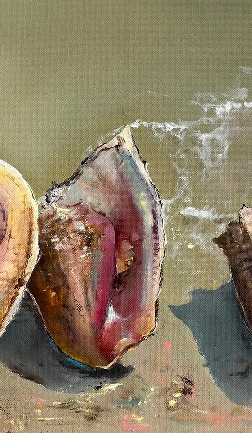 Seashells Original Oil painting by Myroslava Denysyuk