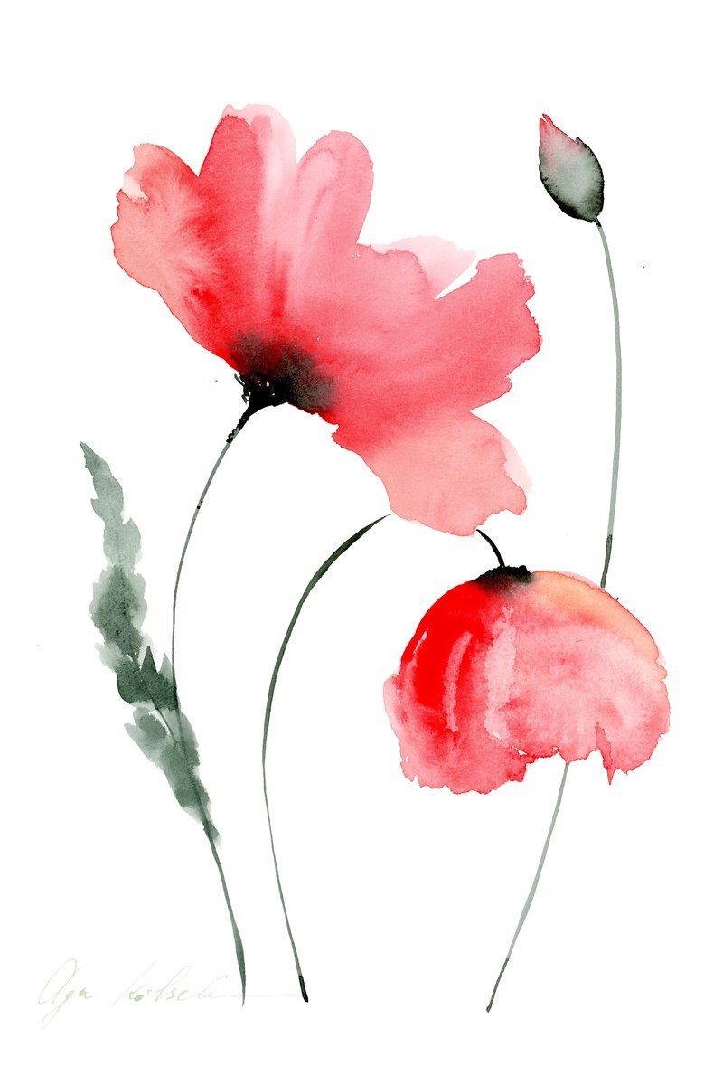 Lovely Poppies watercolor Watercolour by Olga Koelsch | Artfinder