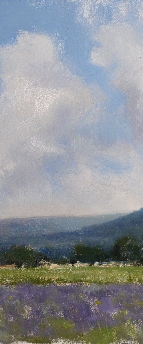 Lavandes sous les nuages de Juin by Pascal Giroud