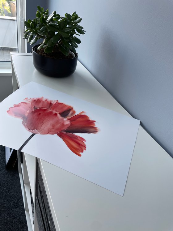 RED FLOWER , ABSTRACTION - alcohol ink , plastic paper