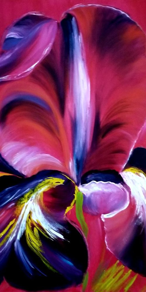 Iris in Barocco Style. by Alexandra Tomorskaya/Caramel Art Gallery
