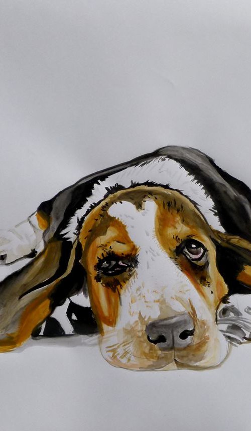 Basset Hound by Soso Kumsiashvili