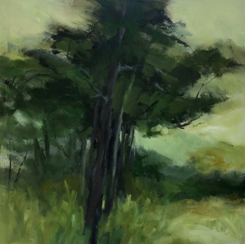Forest Calm by Joanna Farrow