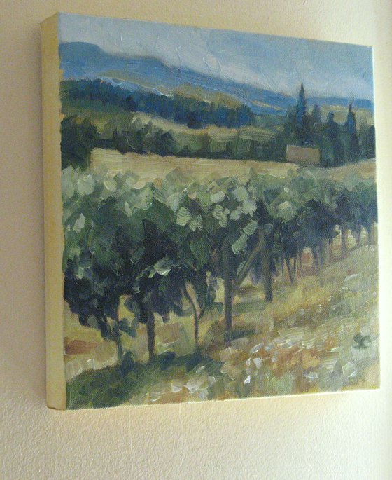 Cooper Mountain Vineyard