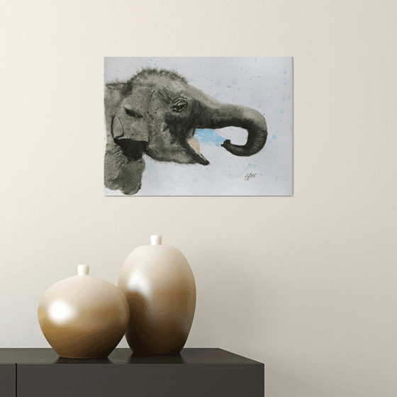 Baby Elephant V