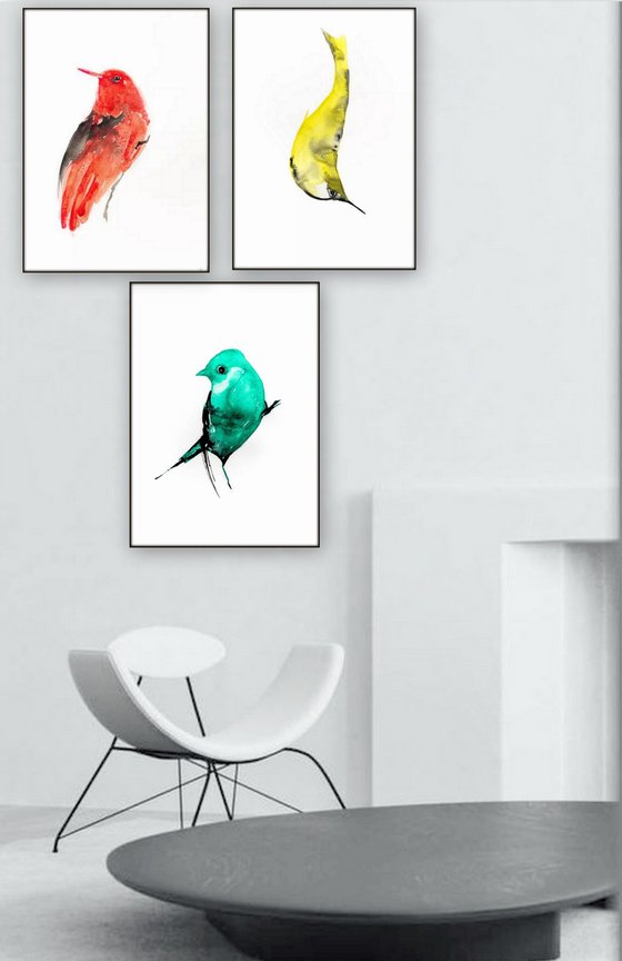 Birds