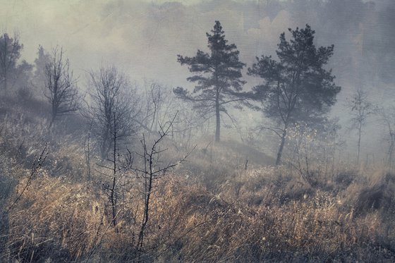 "In the mist of autumn" • Scene 8 "Gray fog is falling"