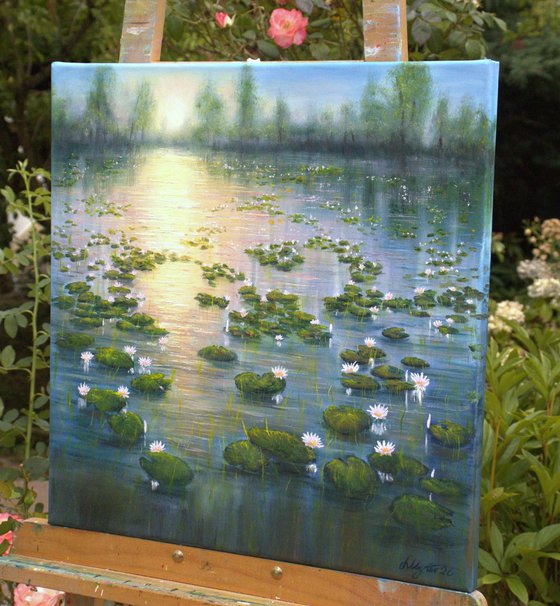 Lilies pond