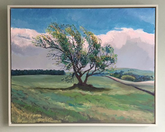'Isolated Tree, in Spring, in Fife'