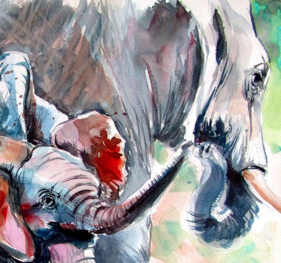 Elephant baby playing