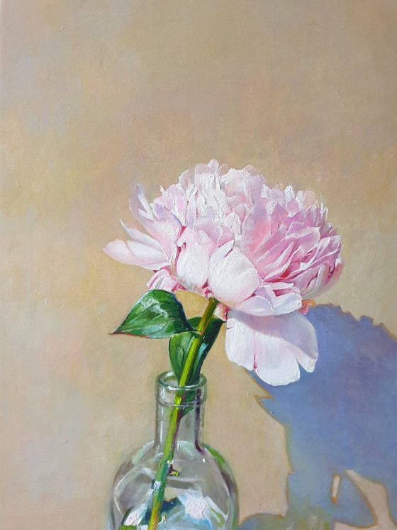 "Morning peony." still life peony pink summer  white liGHt original painting  GIFT (2020)