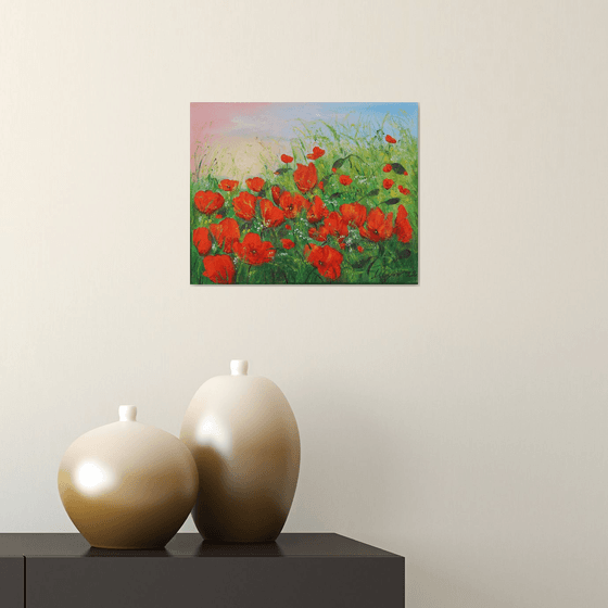 Poppy field in summer 3