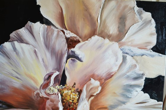 Peonies' Voice 2
