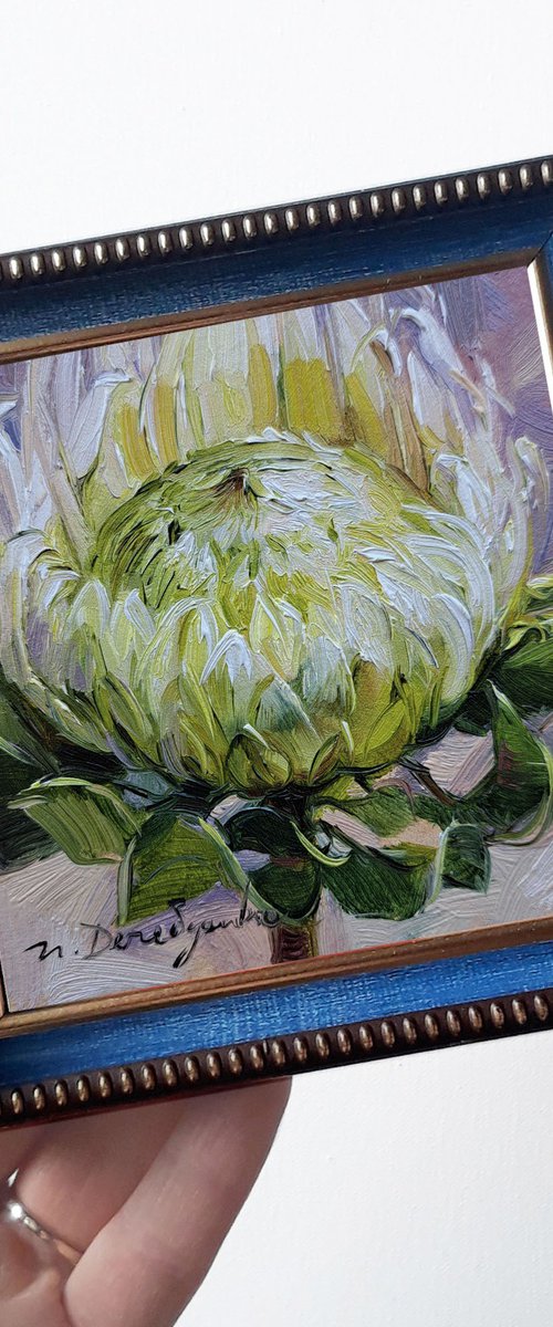 White protea flower by Nataly Derevyanko