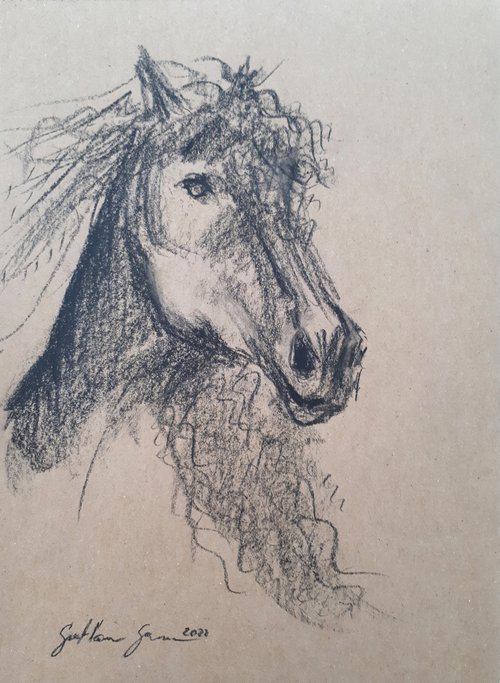 Horse 2 Sketch  /  ORIGINAL PAINTING by Salana Art Gallery