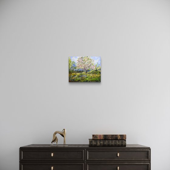Spring dream