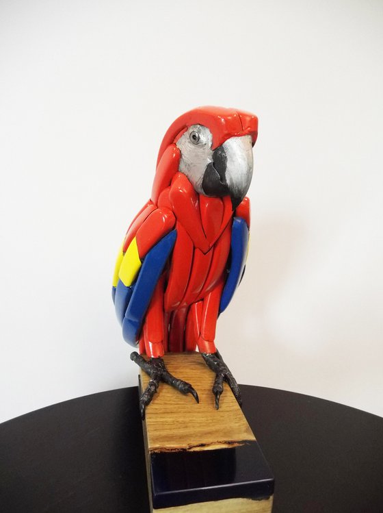 Parrot