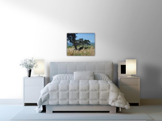 Point Lobos, San Francisco