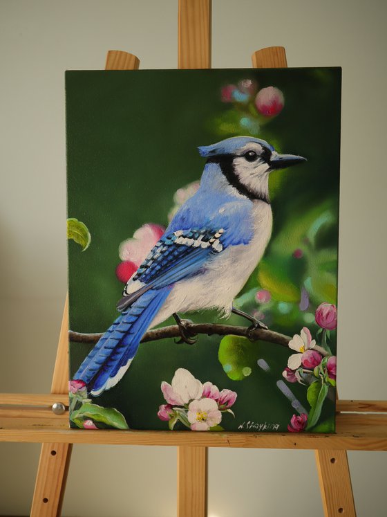 Blue Bird and Flowers, Male Jay, Realistic Animal