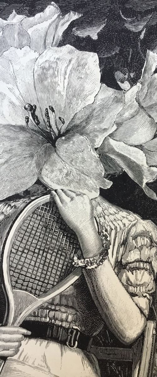 Tennis Shade by Tudor Evans