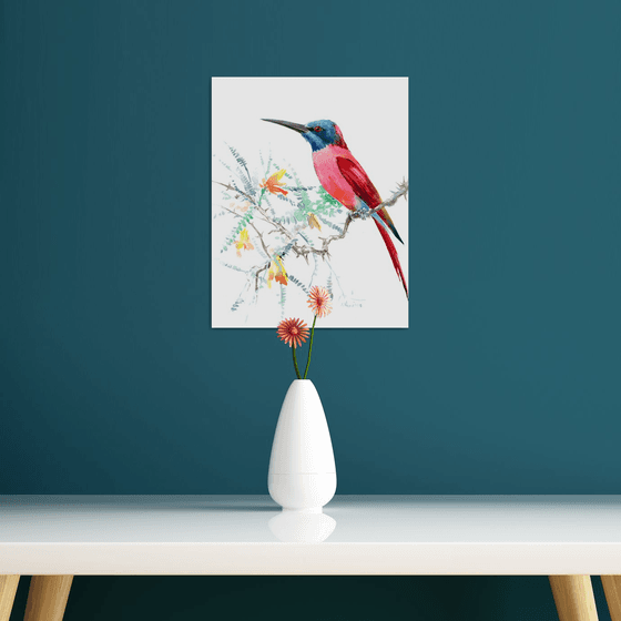 Carmine Bee Eater Bird