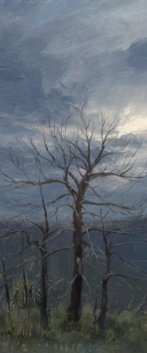 A brewing storm by Daniel Thoms