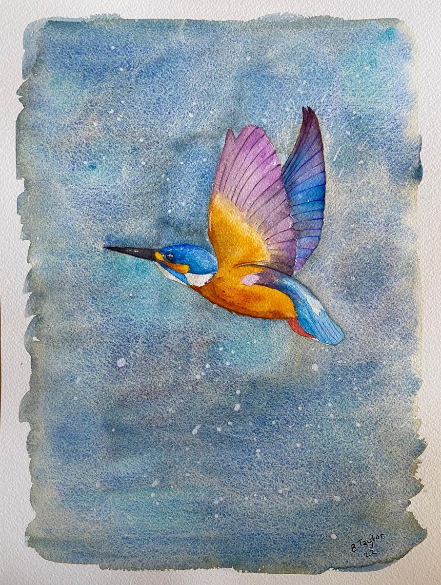 Kingfisher in flight watercolour painting by Bethany Taylor